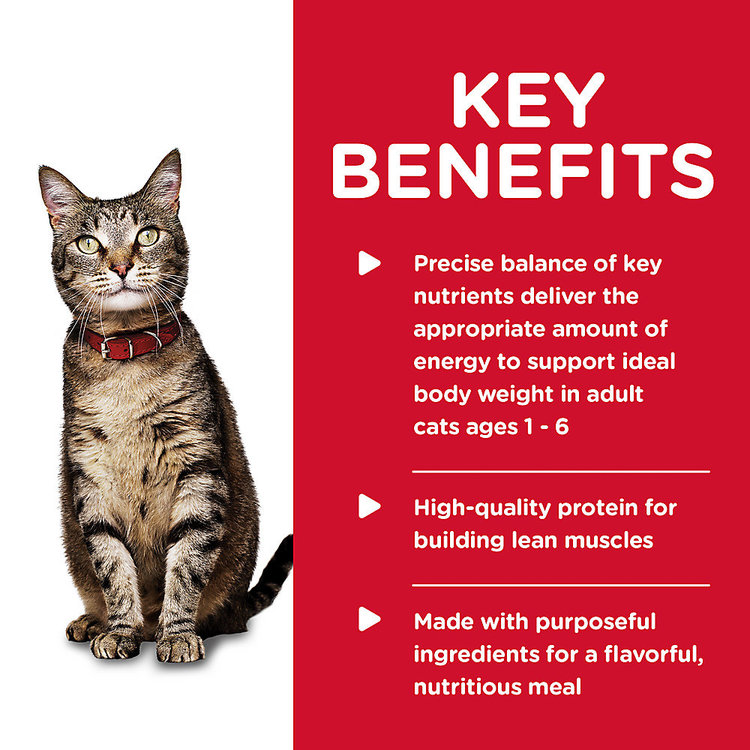 Hills Pet Nutrition Hills - wet - feline - adult 1-6  savory salmon - 5.5 oz