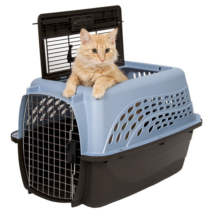 Pet Mate Petmate | Welcome Home Carrier | 2 Door Top Load Kennel | Blue & Brown | 24" | 10-20lbs