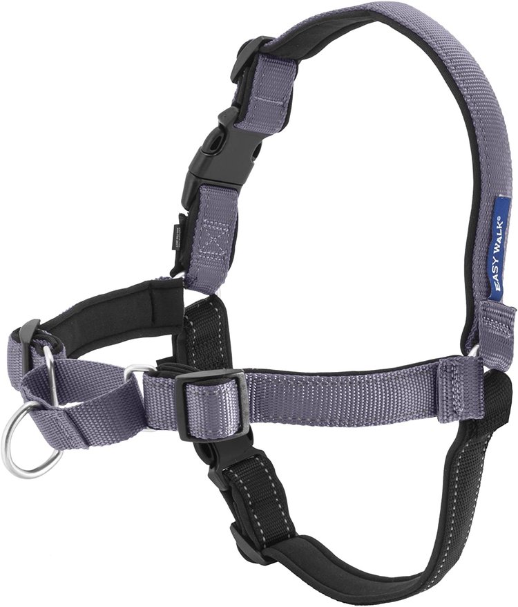 Easy Walk Harness | Small