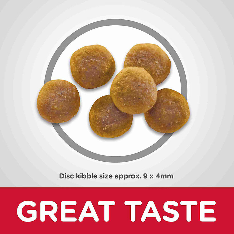 Hills Pet Nutrition Hills | Feline | Dry | Adult 1-6 | Chicken | 4lbs