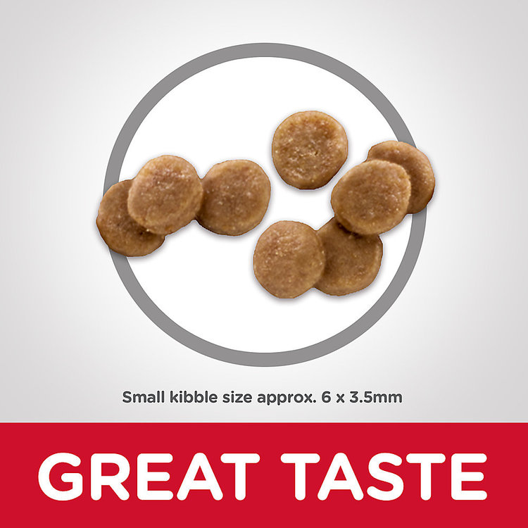 Hills Pet Nutrition Hills Science Kitten dry food - 3.5 lb