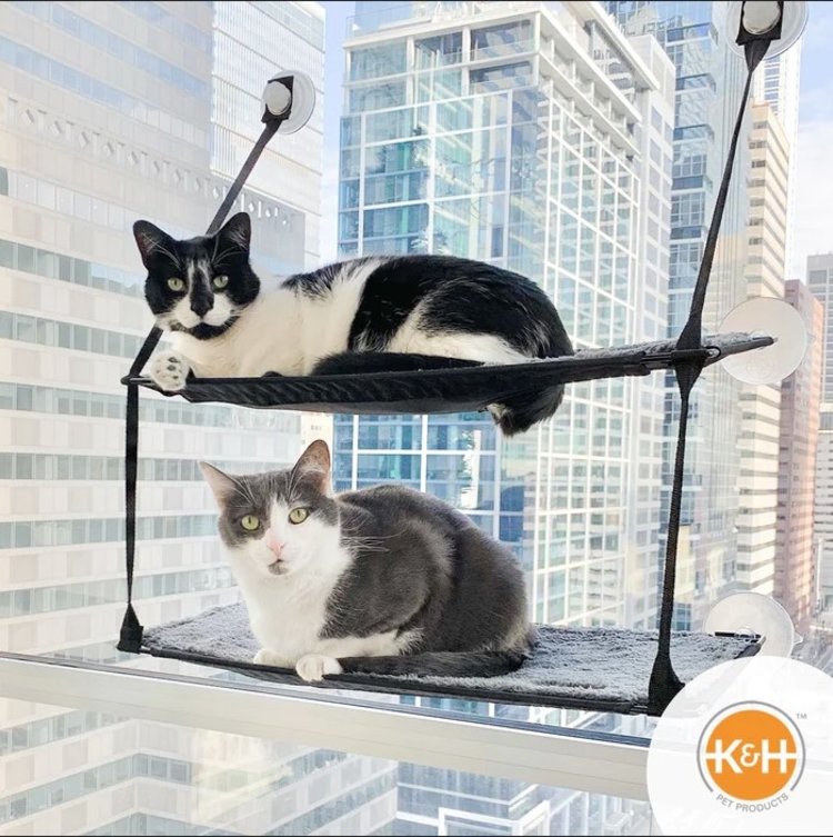 K&H Kitty Sill | EZ Window Mount | Double Stack