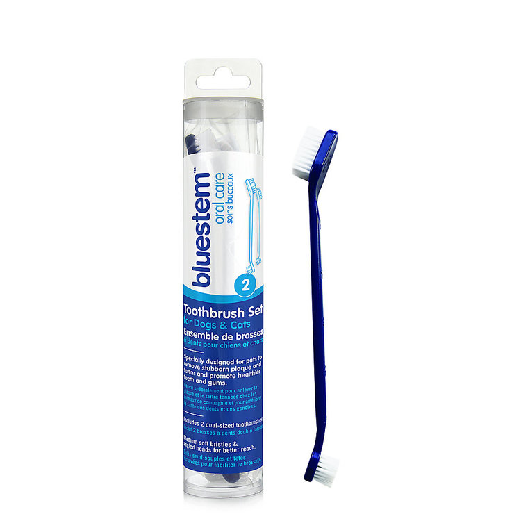 Bluestem | Toothbrush 2PK