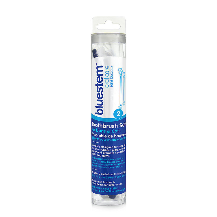 Bluestem | Toothbrush 2PK