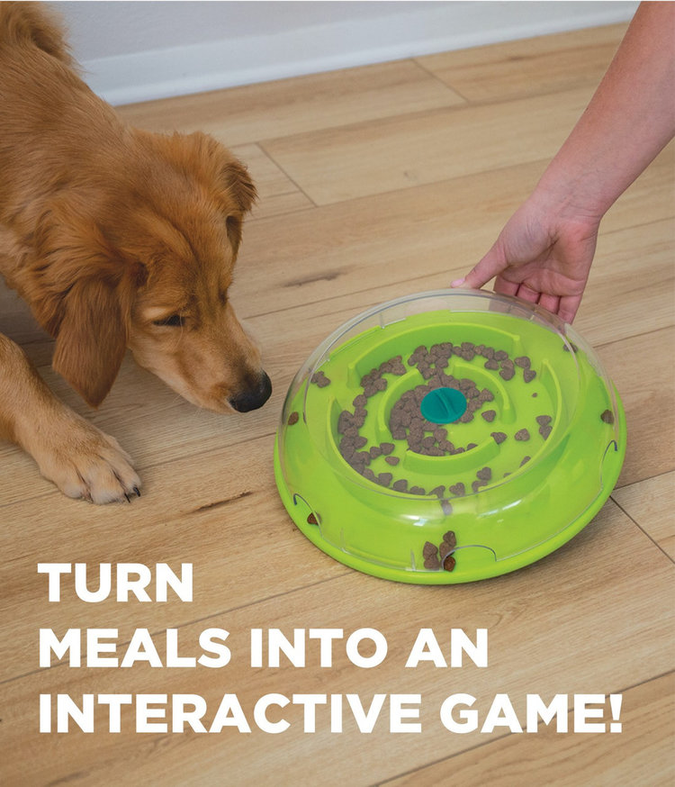 Outward Hound - Wobble Bowl Slow Feeder and Dog Puzzle