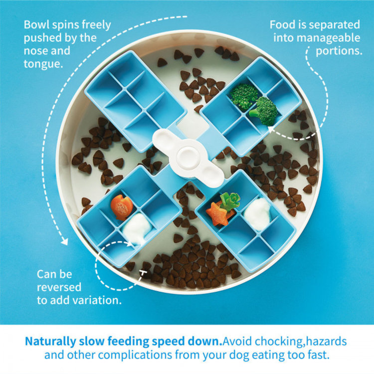 PetDreamHouse | Feeder | Windmill | Blue