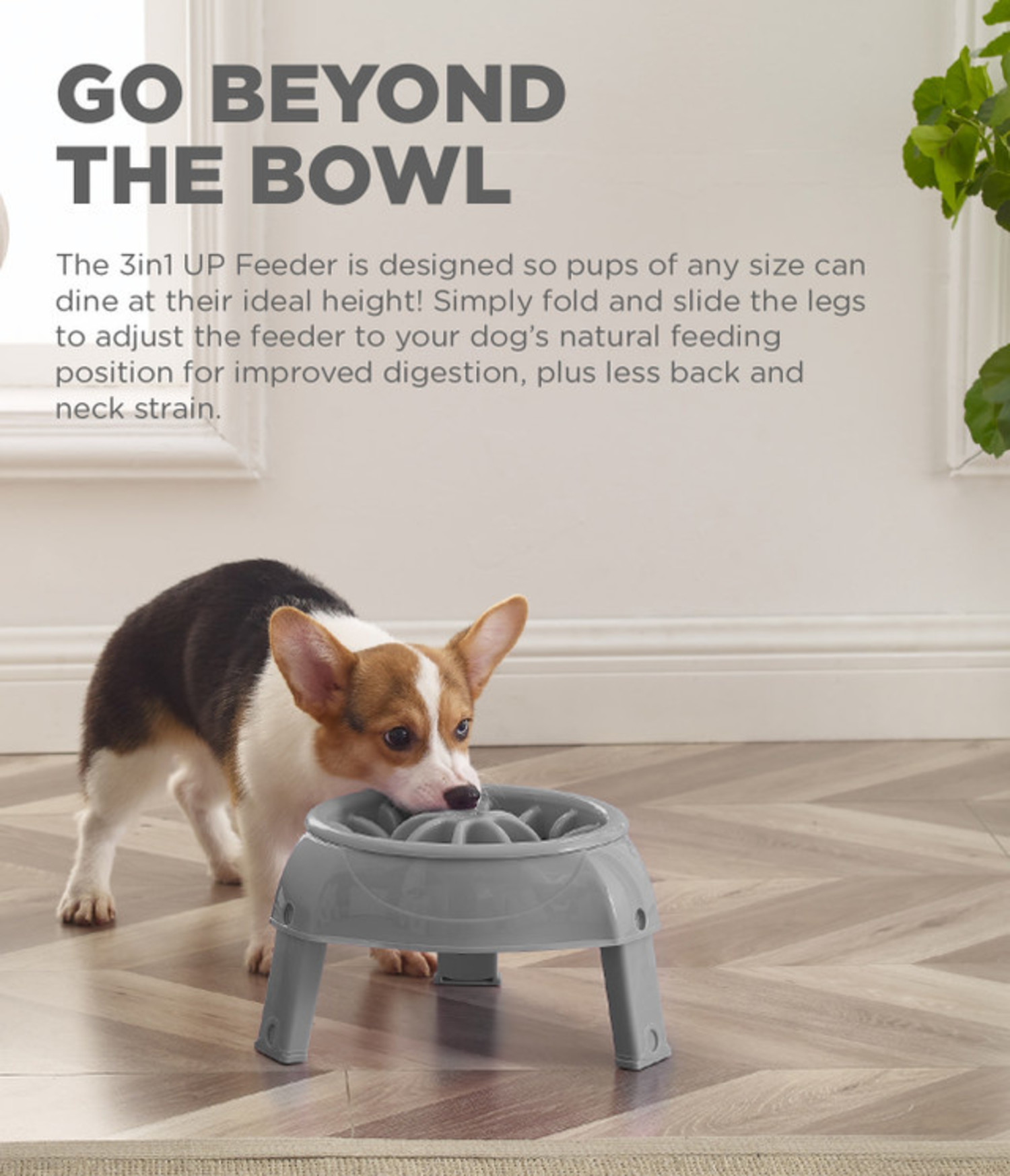 Dog bowl with ridges top