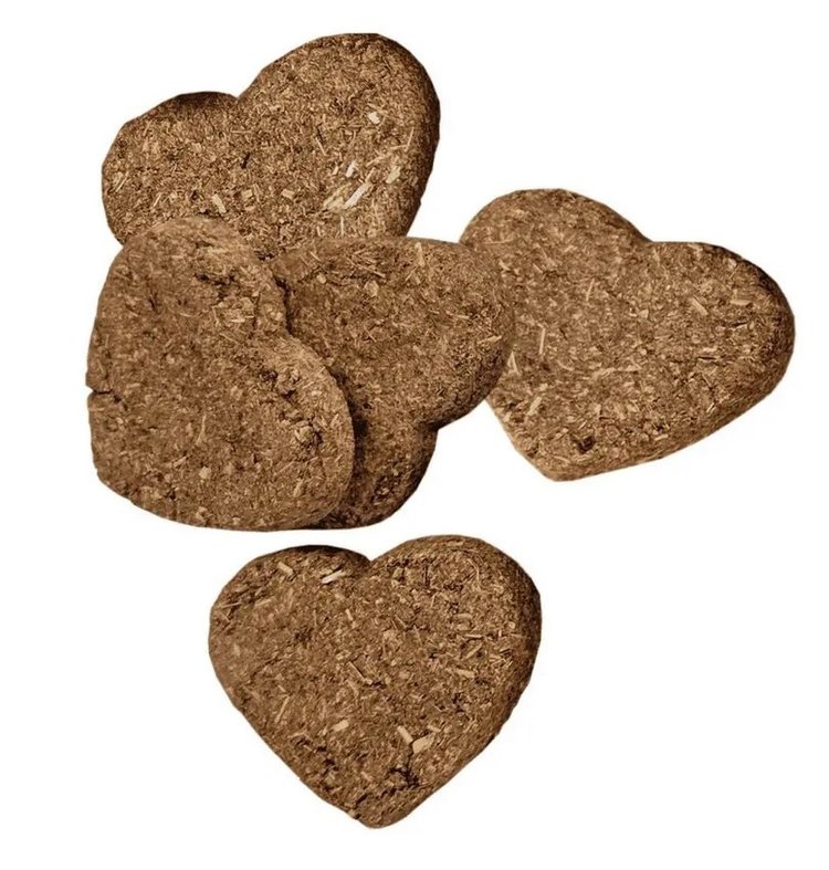 Oxbow Oxbow | Baked Treats | Carrot and Dill