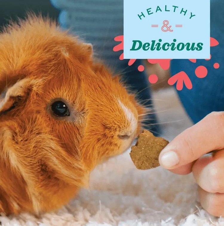 Oxbow Oxbow | Baked Treats | Carrot and Dill