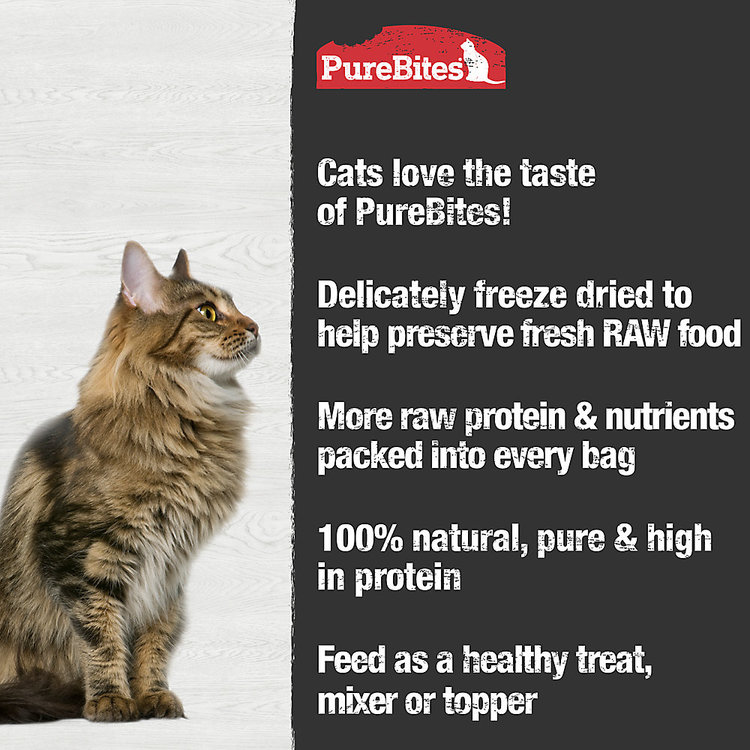 Pure Bites | Cat | Chicken Breast | 66g