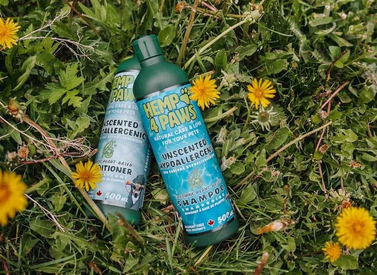 Hemp 4Paws | Unscented Hypoallergenic | Conditioner