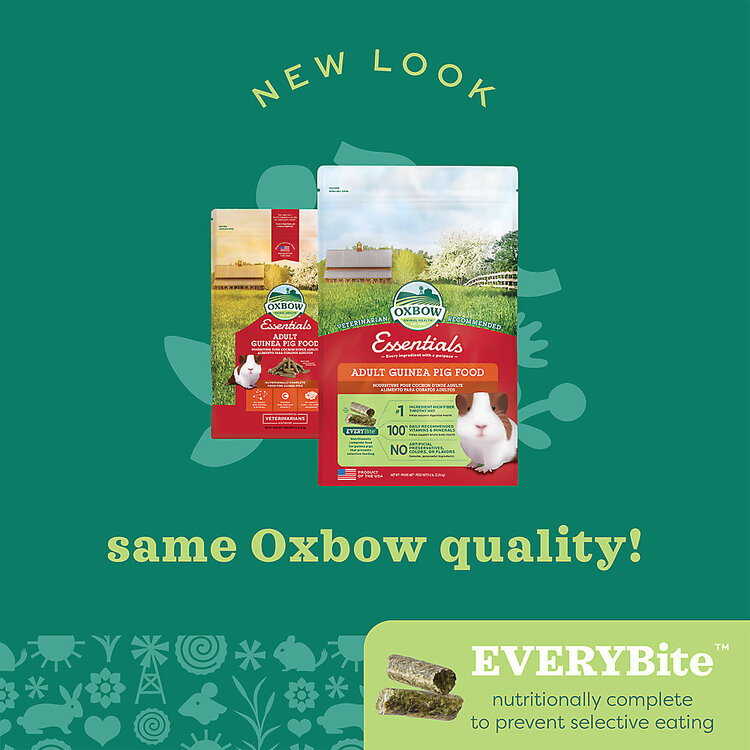 Oxbow Oxbow Essentials - Adult Guinea Pig Food - 5lbs