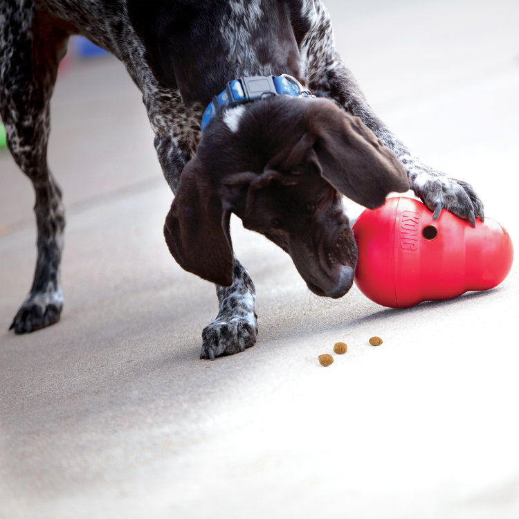 Kong Kong - Wobbler - large