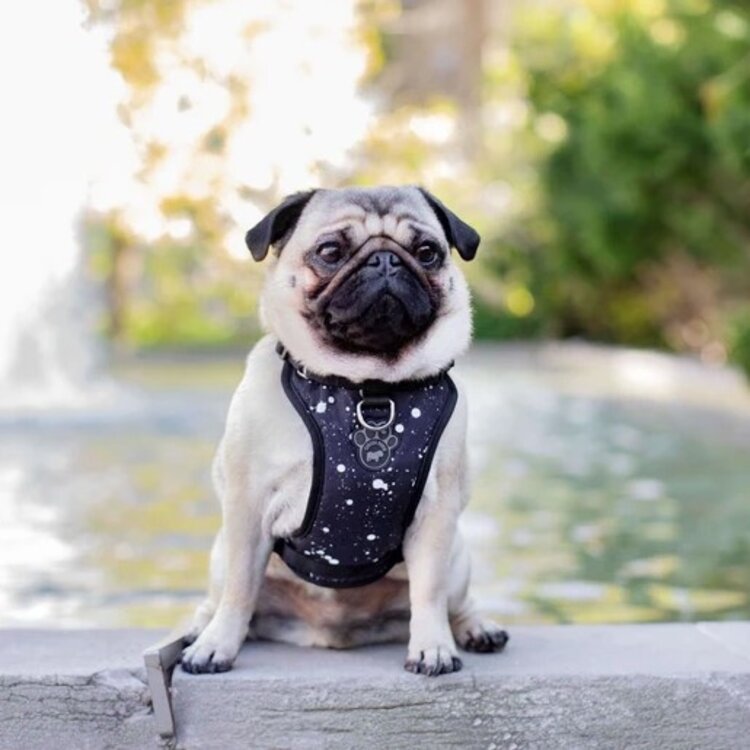 Canada Pooch - Harness - Splatter - Small