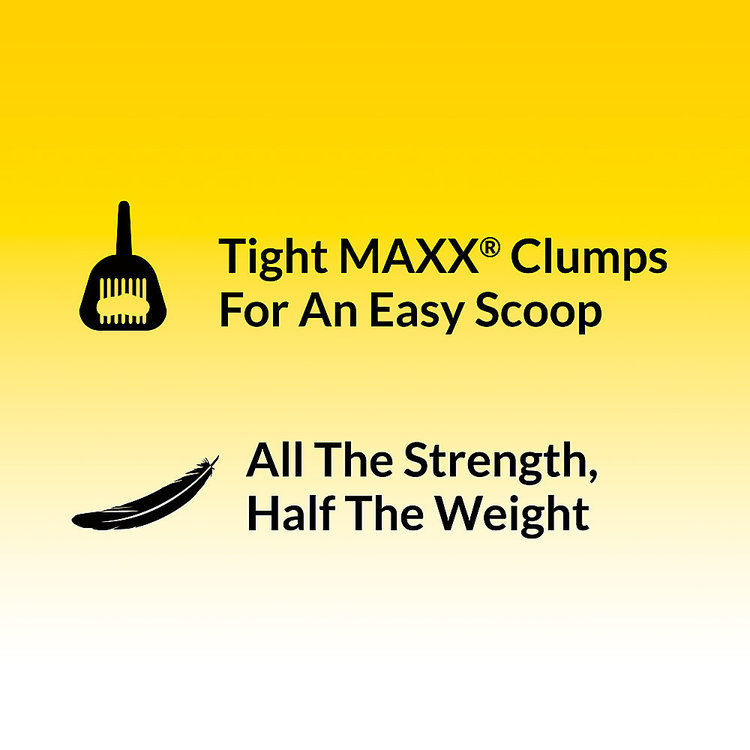 Tidy Cats - litter - lightweight - 4-in1 strength - 2.72kg