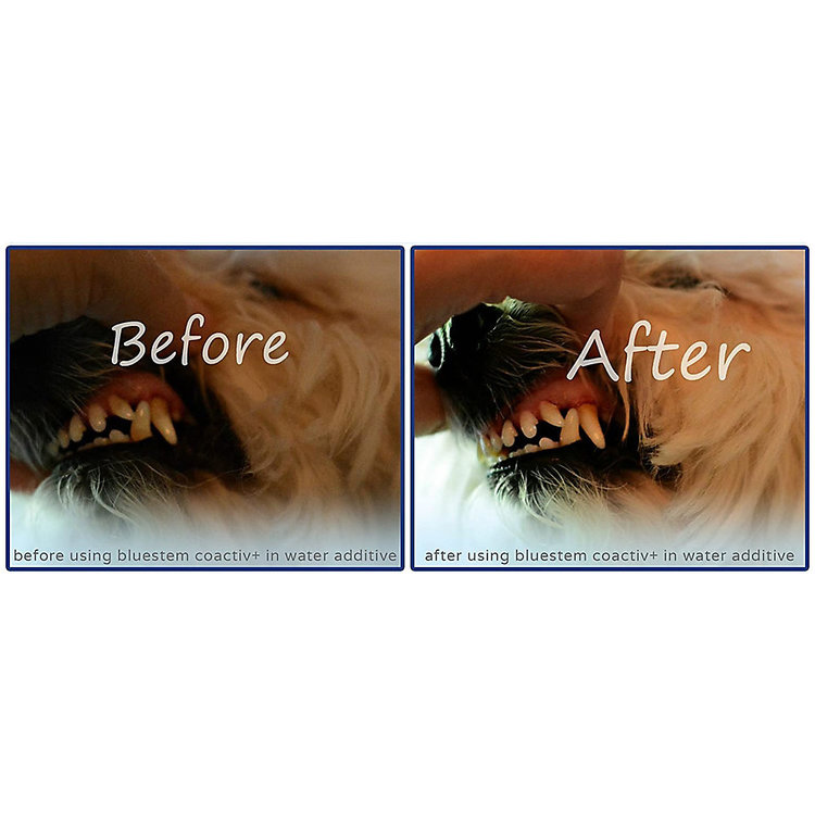 BlueStem | Water Additive | Chicken | 500ml