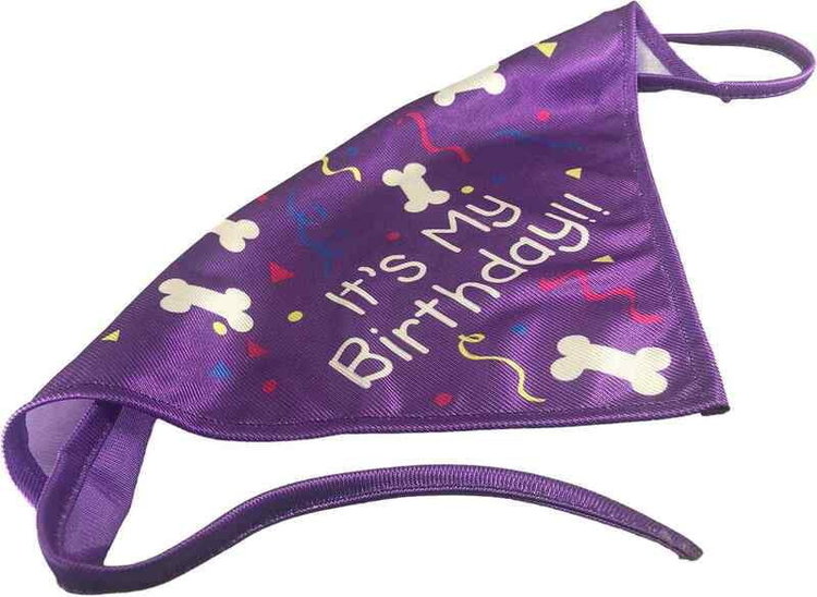 Birthday | Bandana