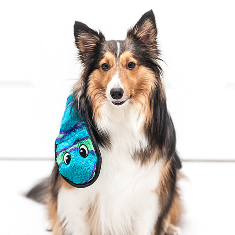 Outward Hound - Invincibles - snake - blue and green - 3 squeakers