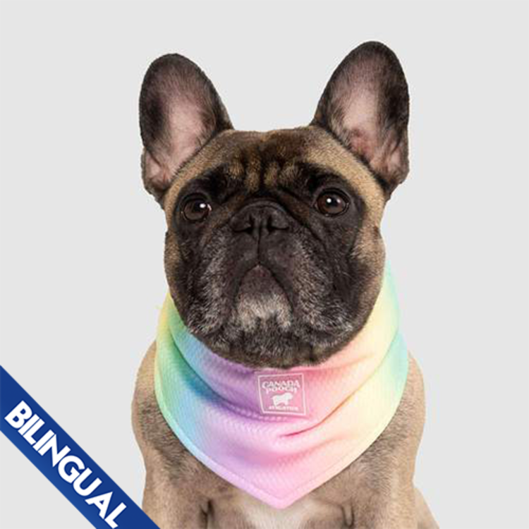 Canada Pooch | Cooling Bandana  | Sm | Rainbow