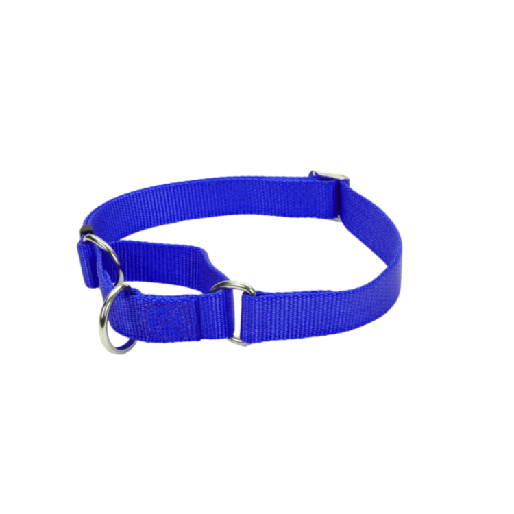 Coastal | No Slip Martingale | Adjustable Collar Blue | 5/8" | S