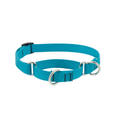 Lupine |Martingale Collar | Aqua | 15-22"