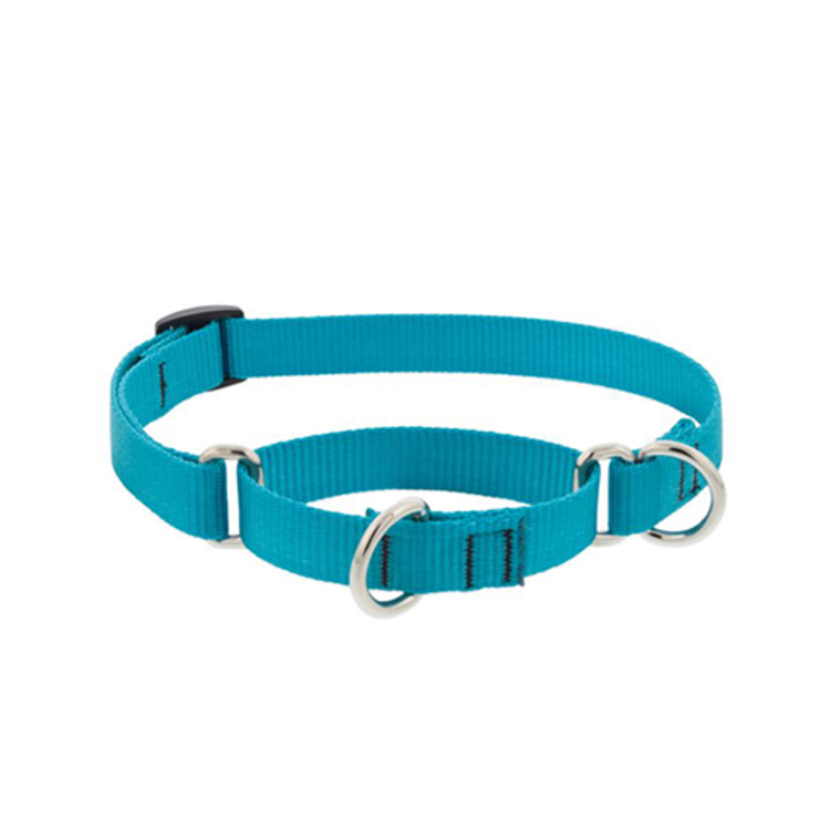 Lupine | Combo Collar | Aqua | 15-22"