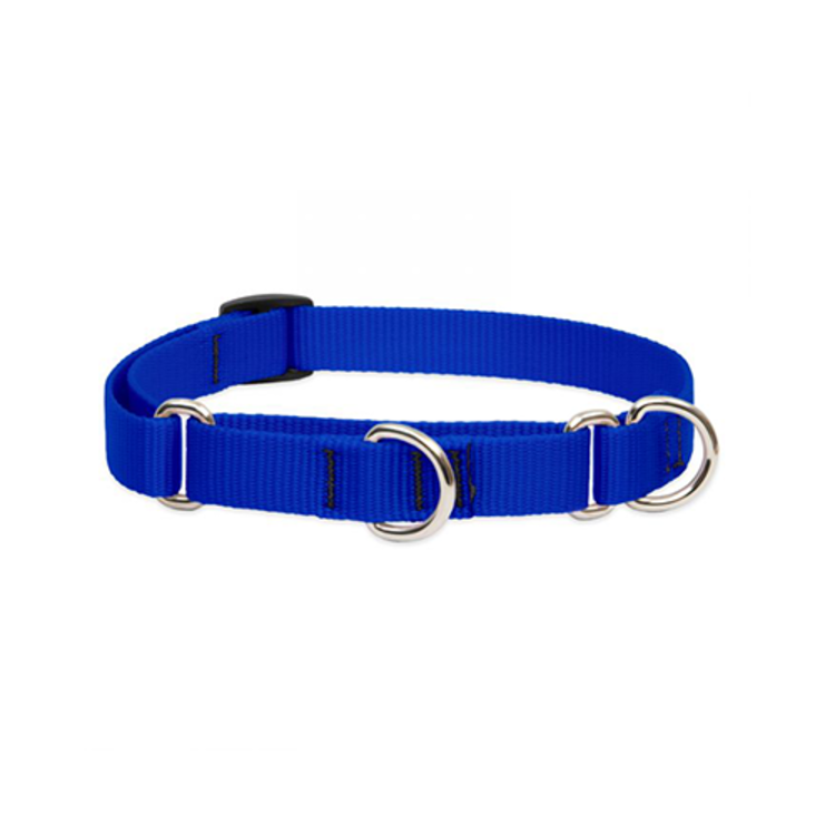 Lupine - martingale collar - blue - 10-14"