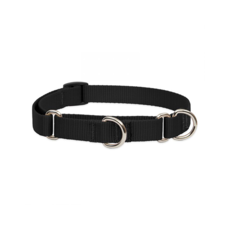 Lupine |Martingale Collar | Black | 10-14"