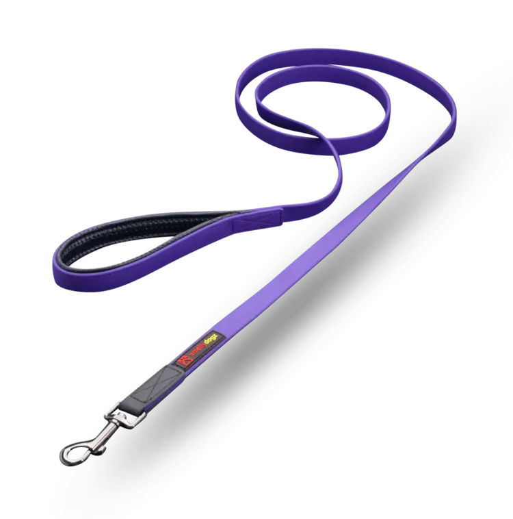 Smelly Dogz | Comfort Lead | Purple | Large
