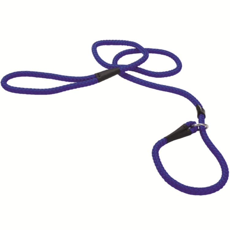 Slip Rope Leash 6' BLUE