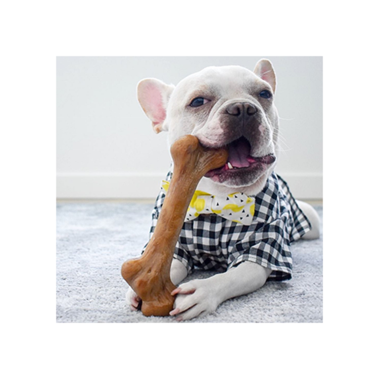 Barkbone | Dinosaur | Bacon Flavored | 8"