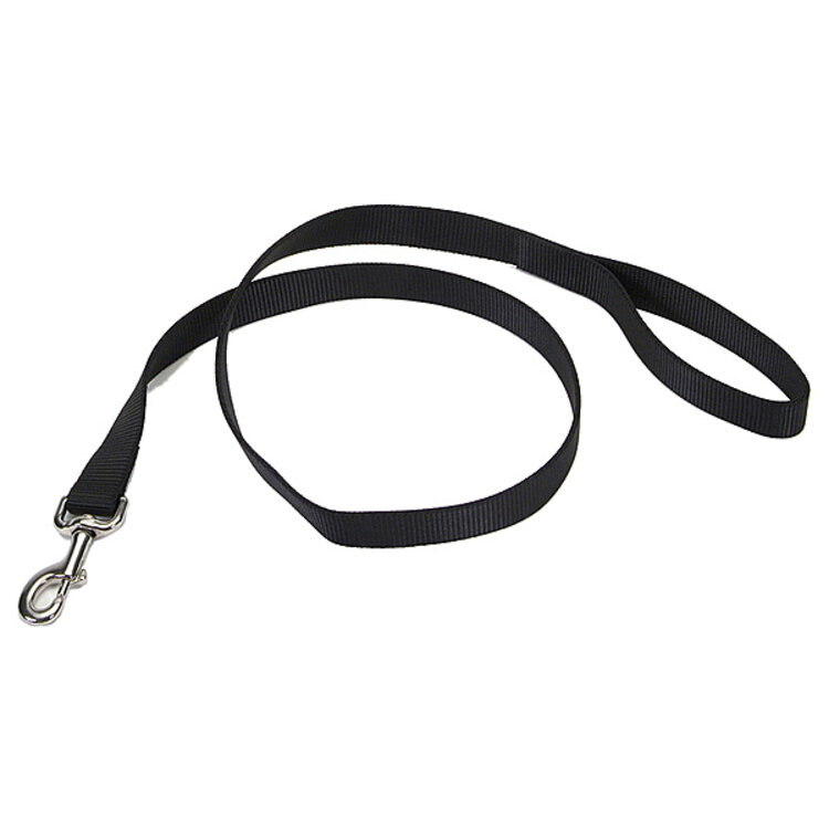 Coastal - nylon lead - black - 6'x1"
