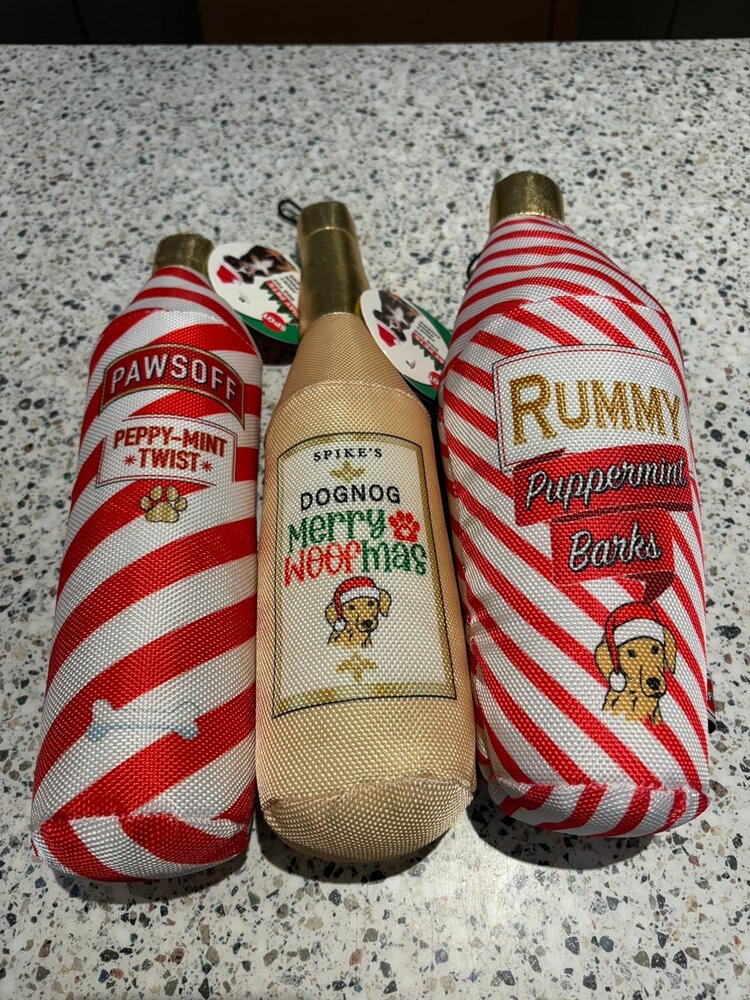 Xmas | Spot | Fun Food Drinks | Assorted | 11"