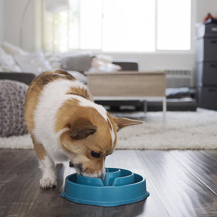 Outward Hound | Fun Feeder Drop Teal | Medium