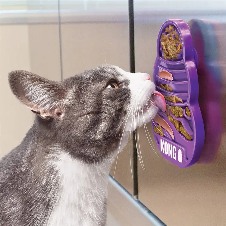 Kong Kong - Licks - cat - small