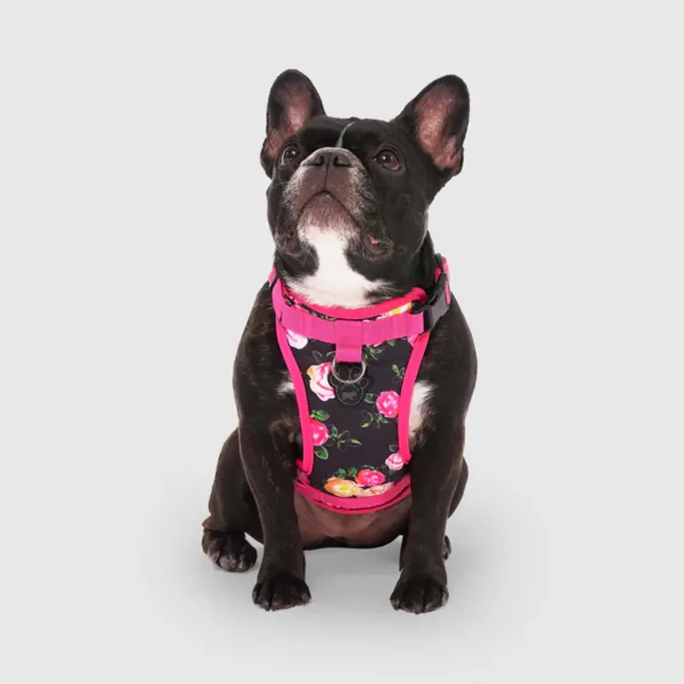 Canada Pooch Everything Harness FLORAL - XLarge