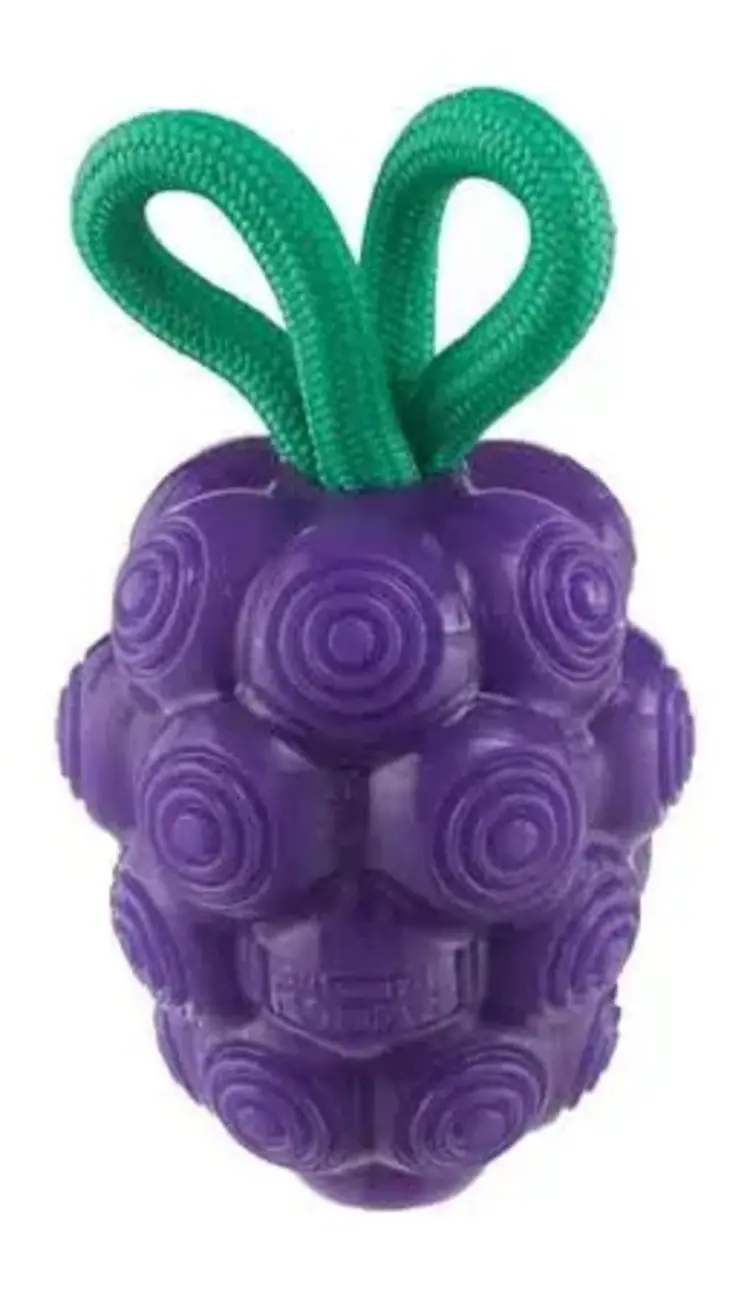 Outward Hound Grapes Dental Chew Treat Stuffer