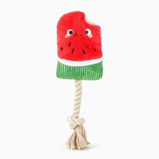 Hugsmart - Watermelon popsicle rope