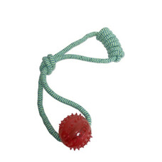 Pawtek - dental knotted rope - ball
