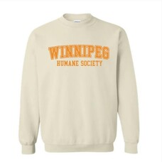 Varsity Crew Cream  XL