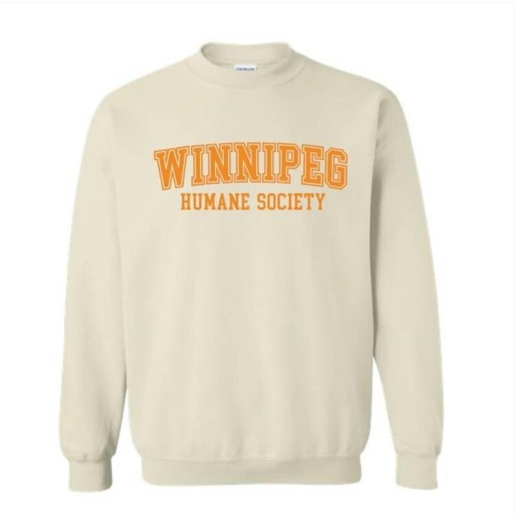 Varsity Crew Cream  XXL