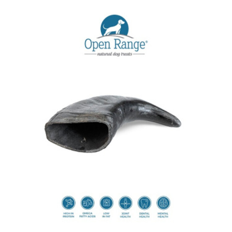 Open Range Water Buffalo Horn | Small