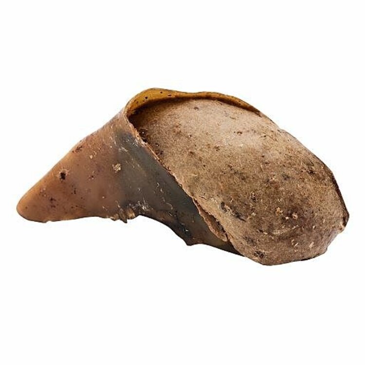 Rollover - Chicken stuffed hoof