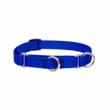Lupine Martingale collar - 3/4" X 10" - 14"  BLUE