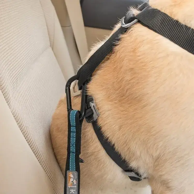 Kurgo seat belt tether