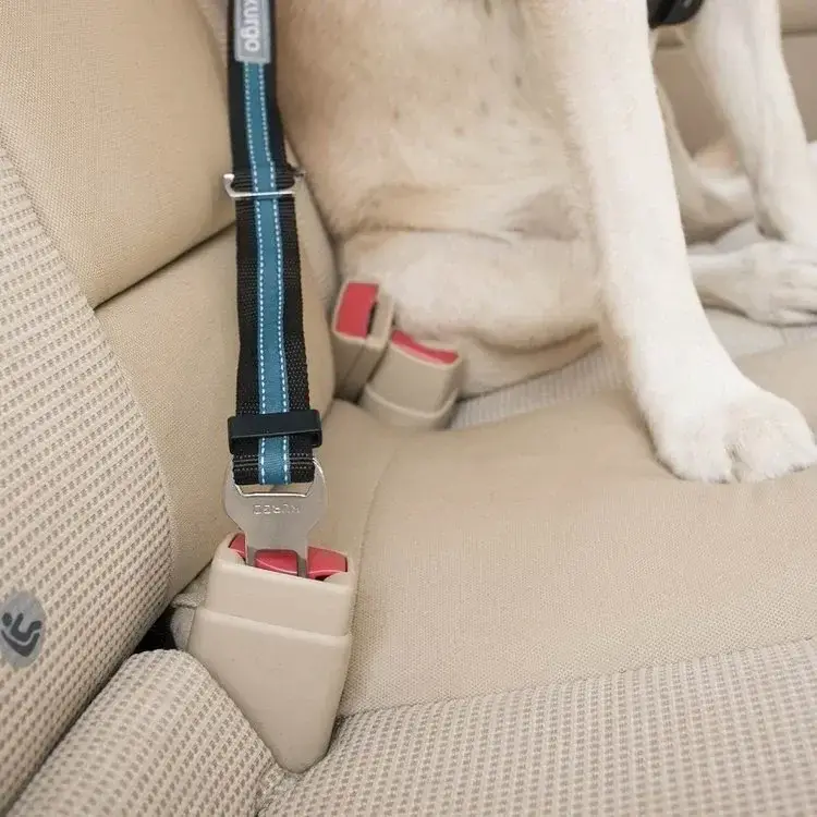 Kurgo seat belt tether