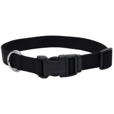 Coastal - Tuff nylon collar - BLACK