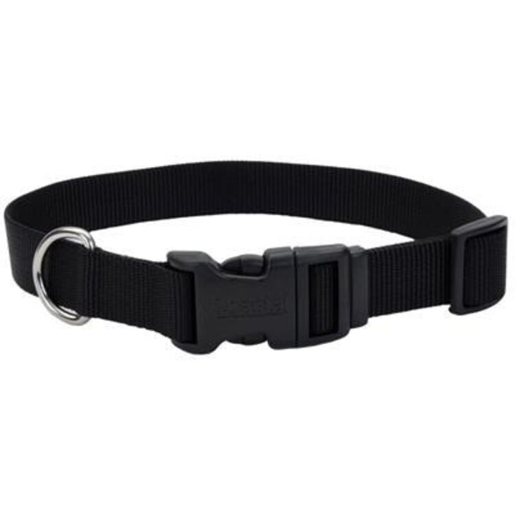 Coastal - Tuff nylon collar - BLACK