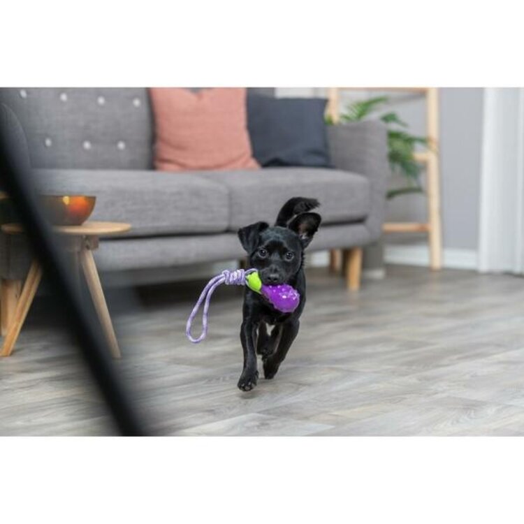 Trixie - Eggplant on a rope