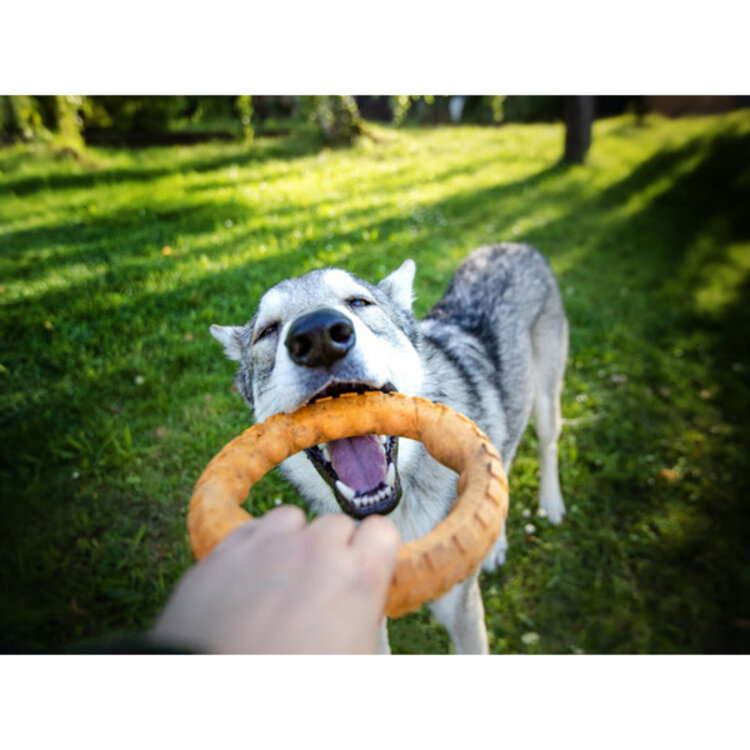 Spunky Pup - Gnaw Guard ring - large